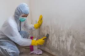 Best Emergency Mold Remediation  in Camp Verde, AZ